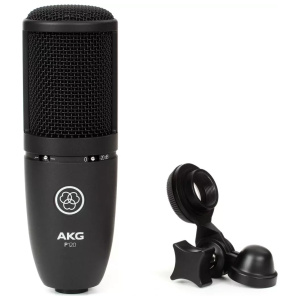 Микрофон AKG P120 - HI-FI BY