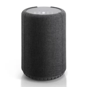 Портативная акустика Audio Pro A10 MKII Dark Grey