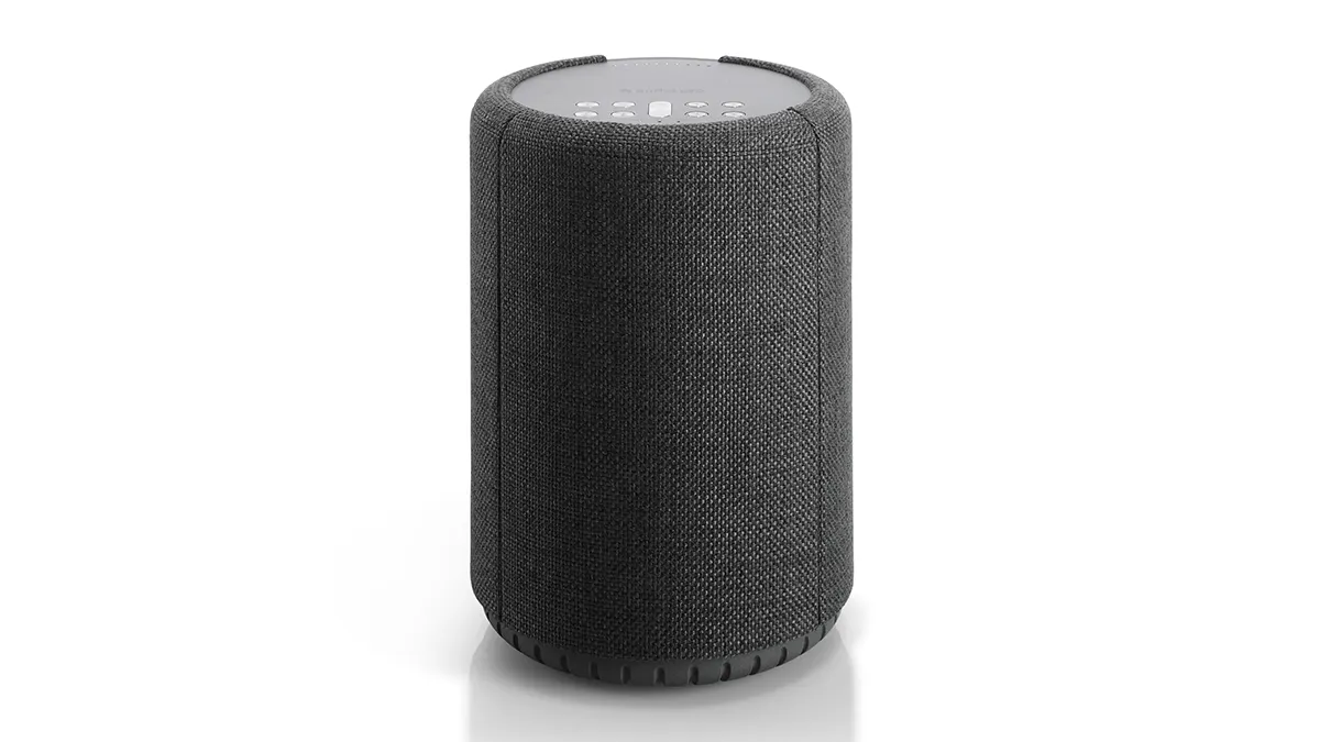 Портативная акустика Audio Pro A10 MKII Dark Grey