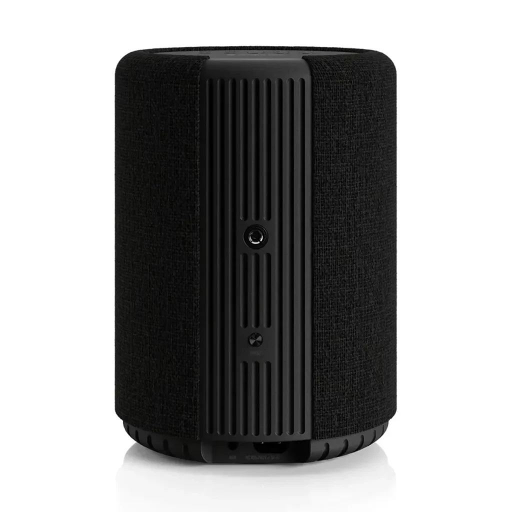 Портативная акустика Audio Pro A10 MKII Black
