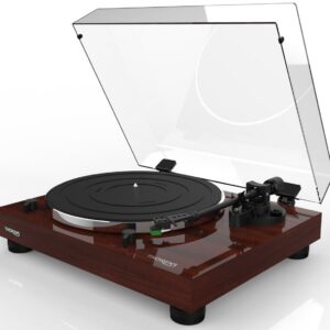 Проигрыватель винила Thorens TD-202 (TP71, AT95E) High Gloss Walnut