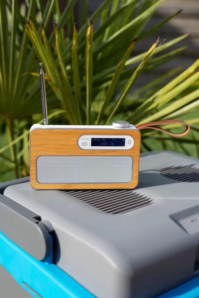 Портативное FM-радиo Lenco PDR-040BAMBOOWH