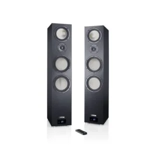 Активная акустическая система Canton Smart GLE 9 S2 (black)