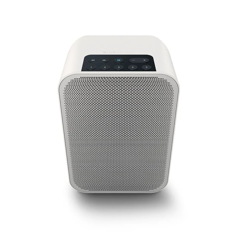 Акустическая система Bluesound Pulse Flex 2i Black