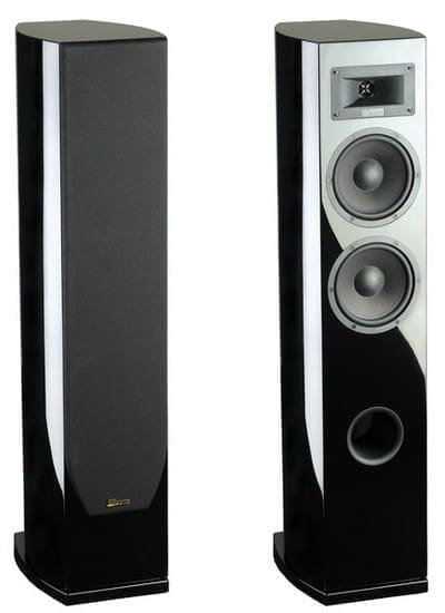 Акустика Davis Acoustics Stentaure LE (black)