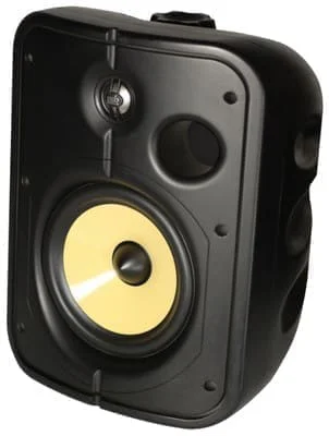 Акустика PSB CS1000