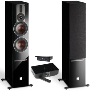 Напольная акустика Dali Rubicon 6 C + DALI Sound Hub + BluOS Module