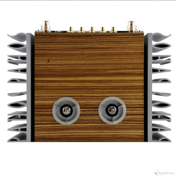 Интегральный усилитель Pathos Classic Remix (Wood)