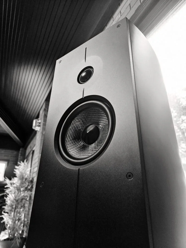 Напольная акустика Acoustic Energy Corinium Matte Black
