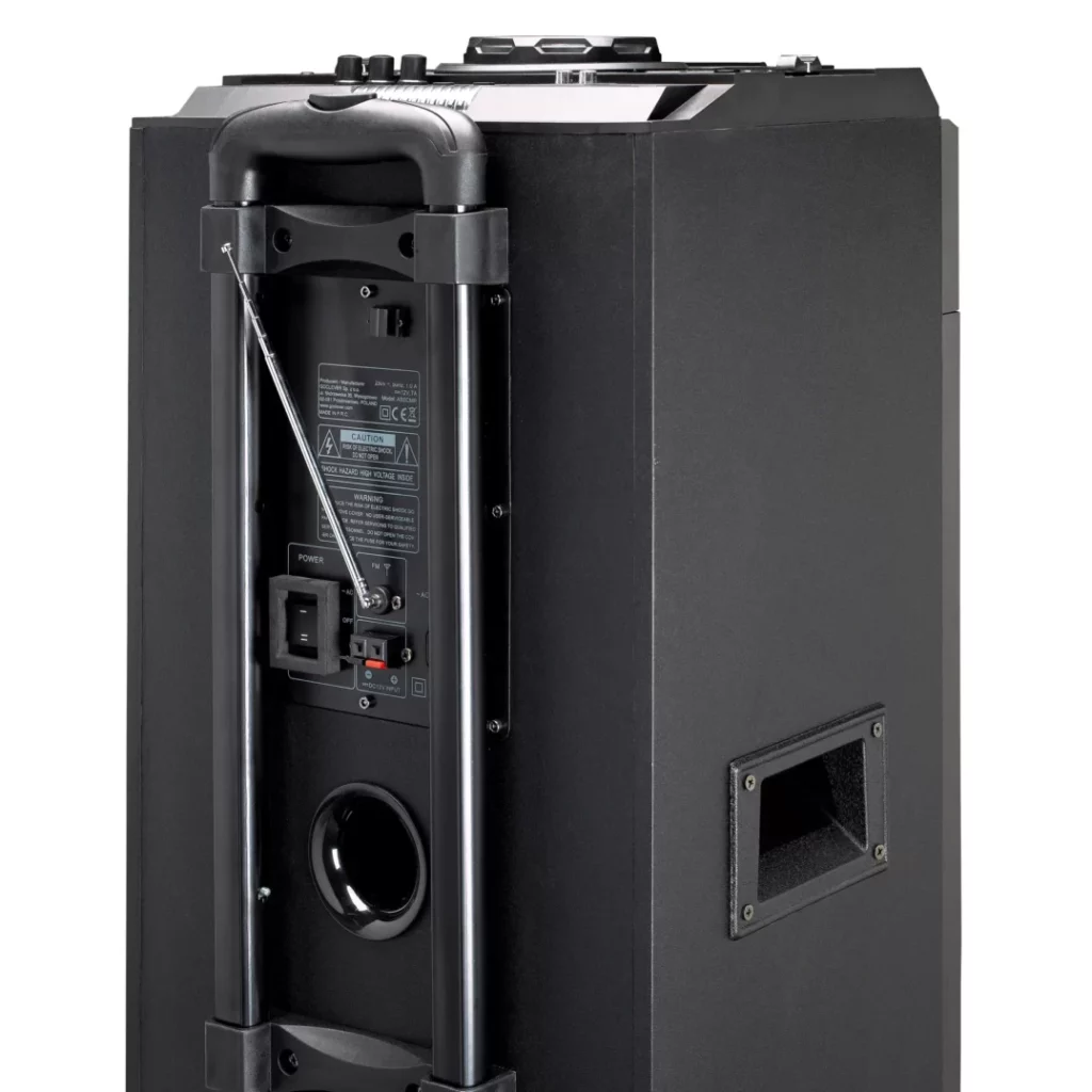 Портативная акустика Lenco PMX-300