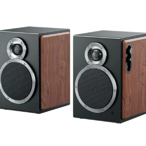 Полочная акустика FiiO SA1 (F3053S) Twilight Black