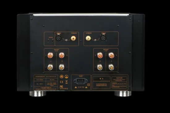 Усилитель мощности Tone Winner AD-1PA+ Black