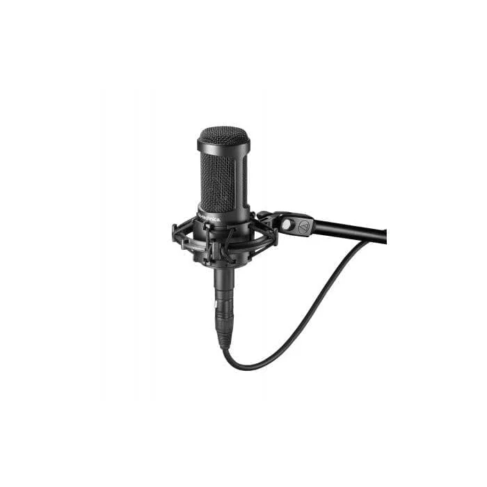 Микрофон Audio Technica AT2050