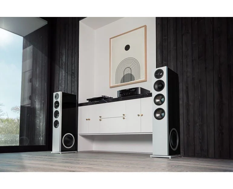 Напольная акустика Definitive Technology Demand D17 black