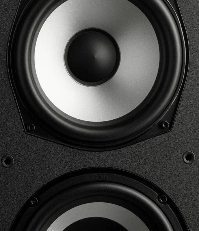 Напольная акустика Polk Audio Monitor XT60 Black
