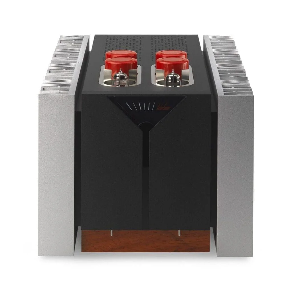 Усилитель мощности Pathos IN POWER MKII