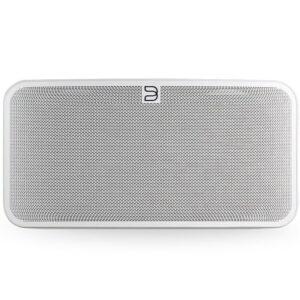 Портативная акустика Bluesound PULSE MINI 2i