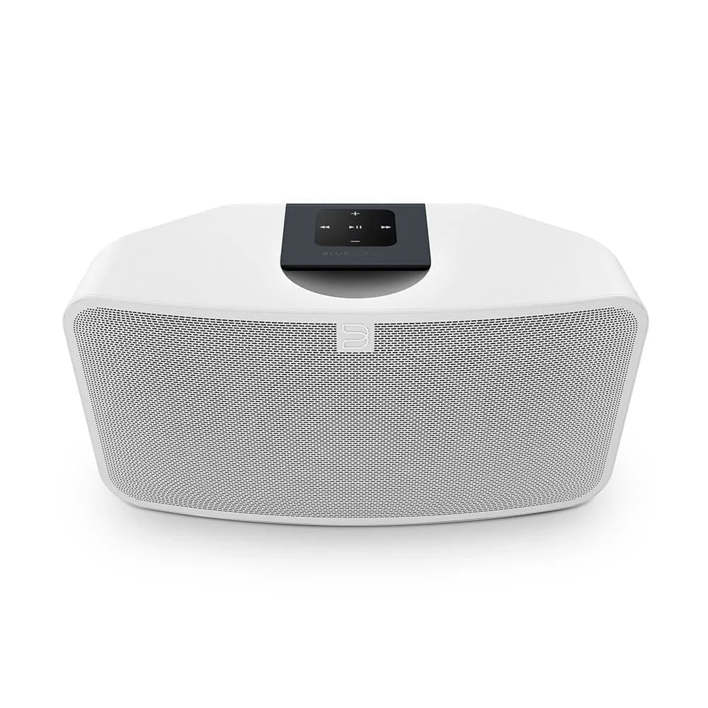 Портативная акустика Bluesound PULSE MINI 2i