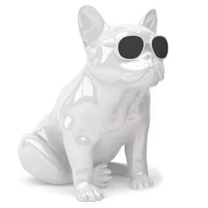 Портативная акустика Jarre Aerobull HD1 Glossy white