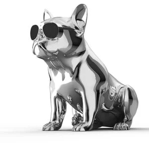Портативная акустика Jarre Aerobull HD1 Chrome silver