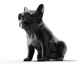 Портативная акустика Jarre Aerobull HD1 Chrome black