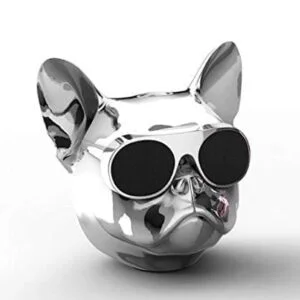 Портативная акустика Jarre Aerobull NANO Chrome silver