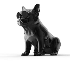 Портативная акустика Jarre Aerobull XS1 Chrome black