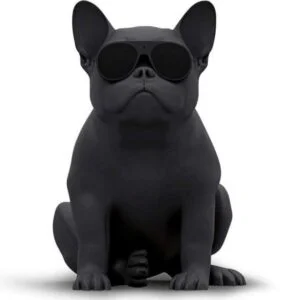 Портативная акустика Jarre Aerobull XS1 Matt black