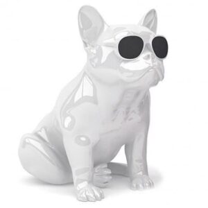 Портативная акустика Jarre Aerobull XS1 Glossy white