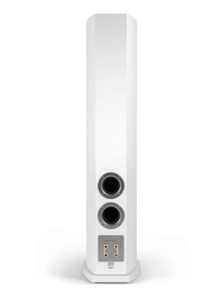 Напольная акустика Premiera DS-631 WT