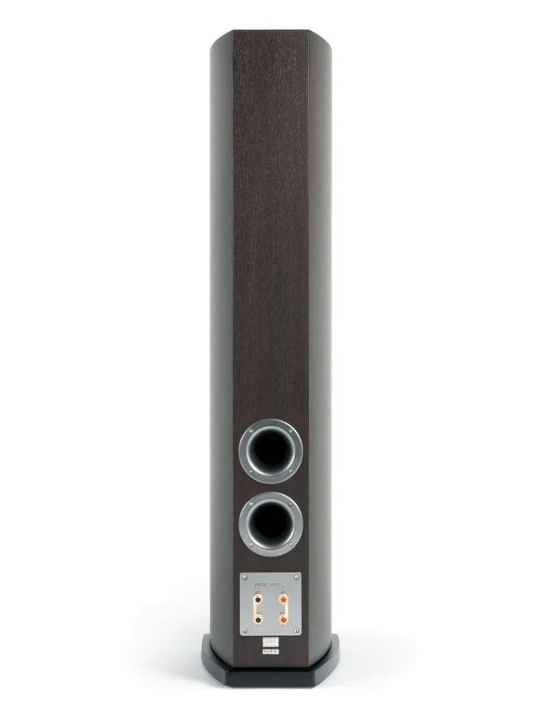 Напольная акустика Premiera DS-631 MC