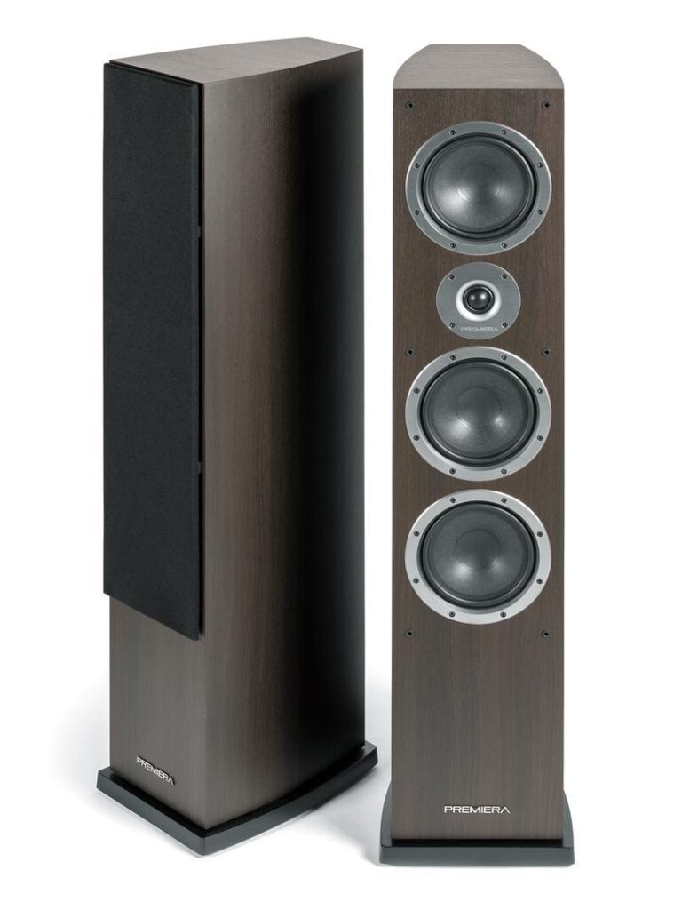 Напольная акустика Premiera DS-631 MC