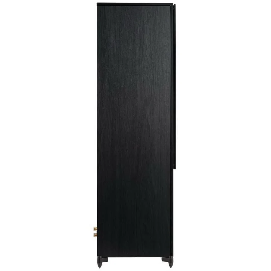 Напольная акустика Heco Aurora XT 1000 Black / Oak