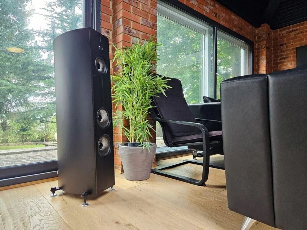Напольная акустика Acoustic Energy Corinium Matte Black