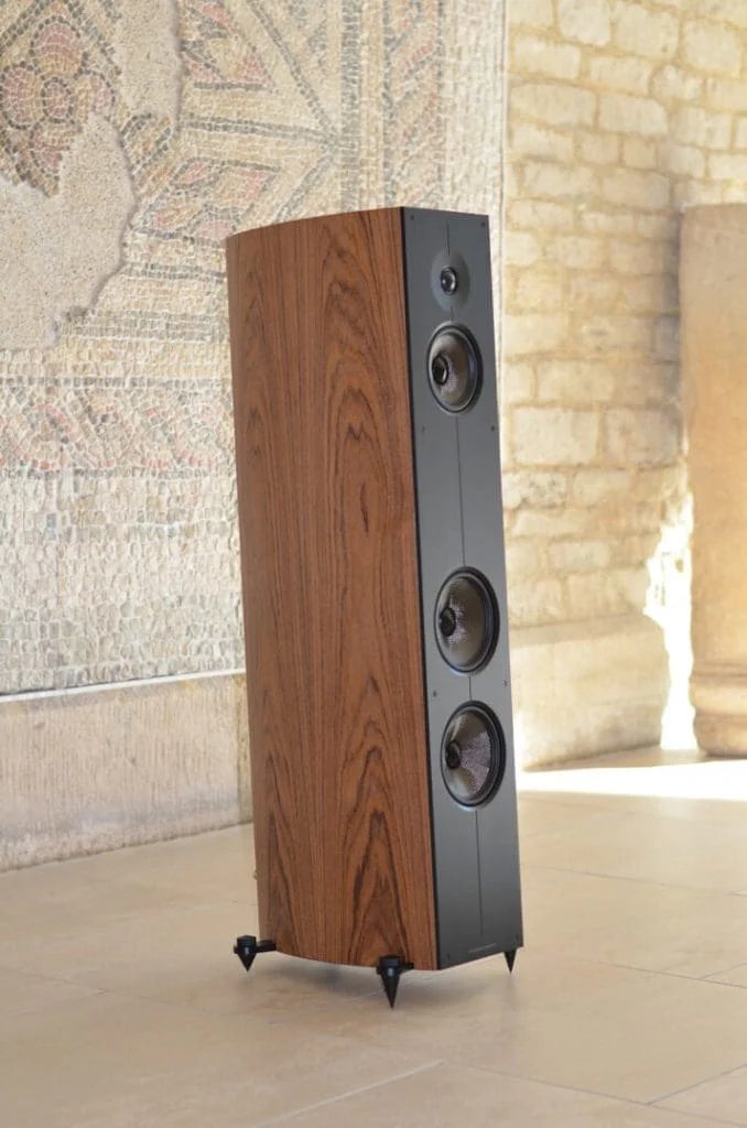 Напольная акустика Acoustic Energy Corinium Tectona