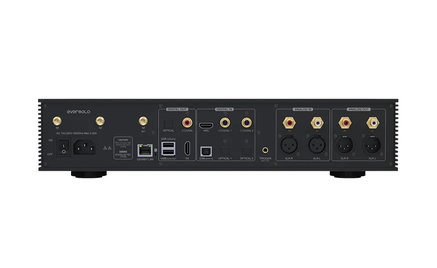 Стример EverSolo DMP-A8