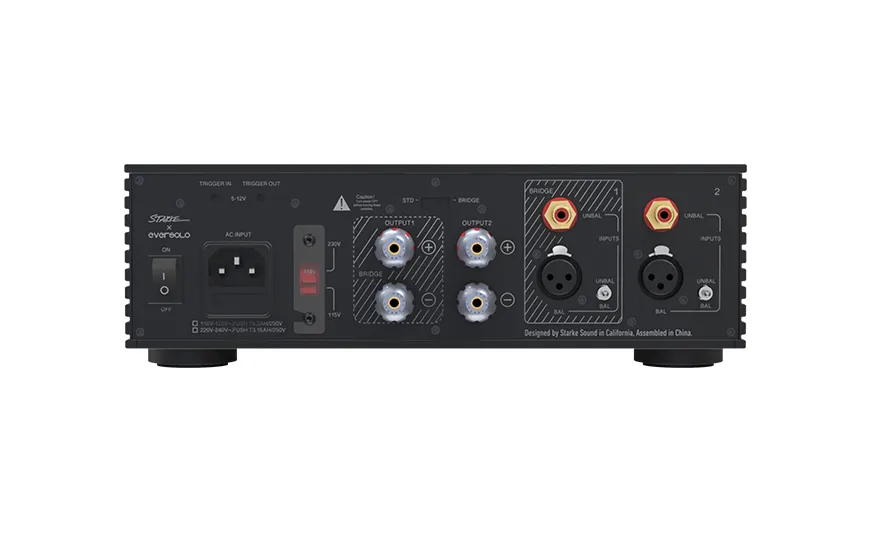 Усилитель мощности EverSolo AMP-F2