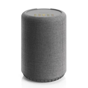 Портативная колонка Audio Pro A10 MkII W Grey