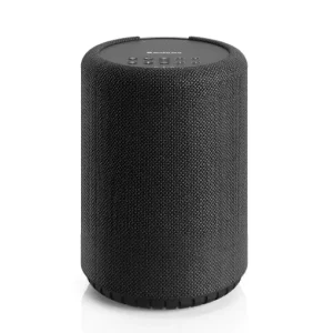 Портативная колонка Audio Pro A10 MkII W Black