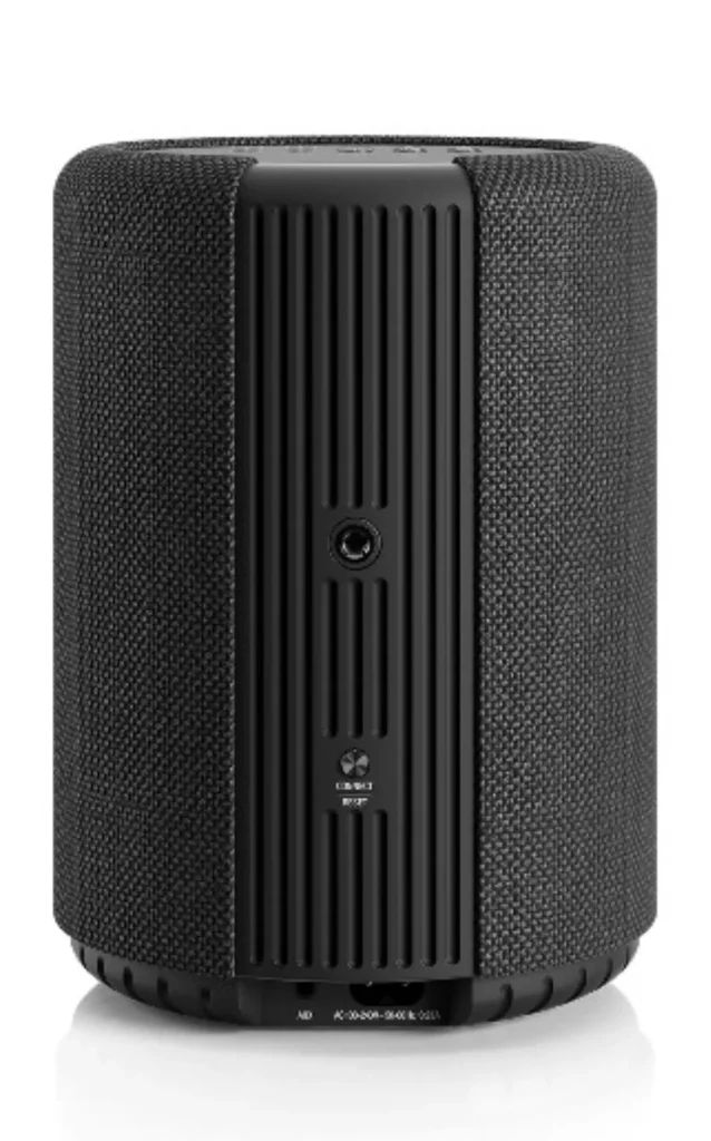 Портативная колонка Audio Pro A10 MkII W Black