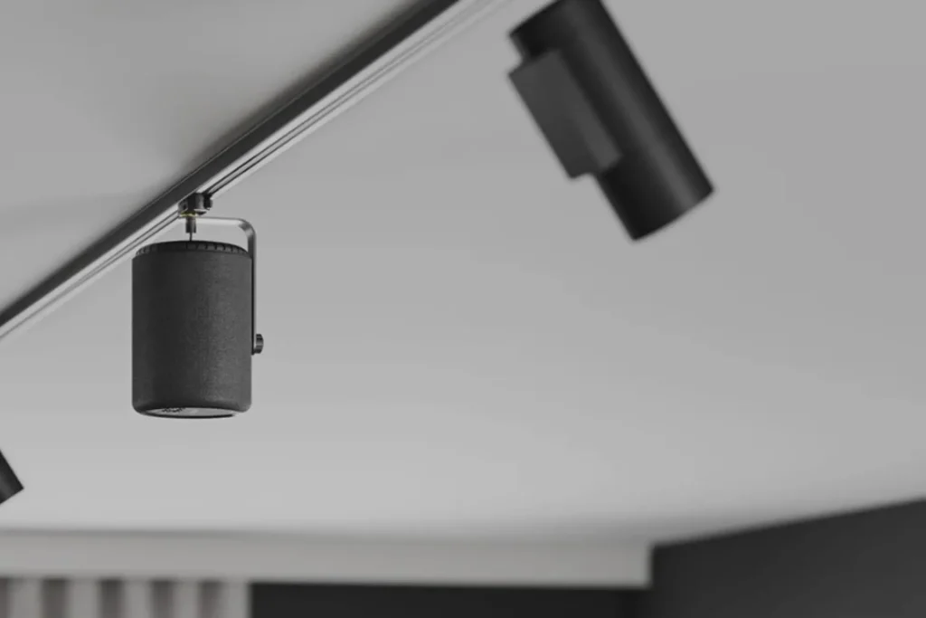 Портативная колонка Audio Pro A10 MkII W Black